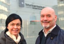 Han er ny seksjonsleder for fiskehelse på Veterinærinstituttet