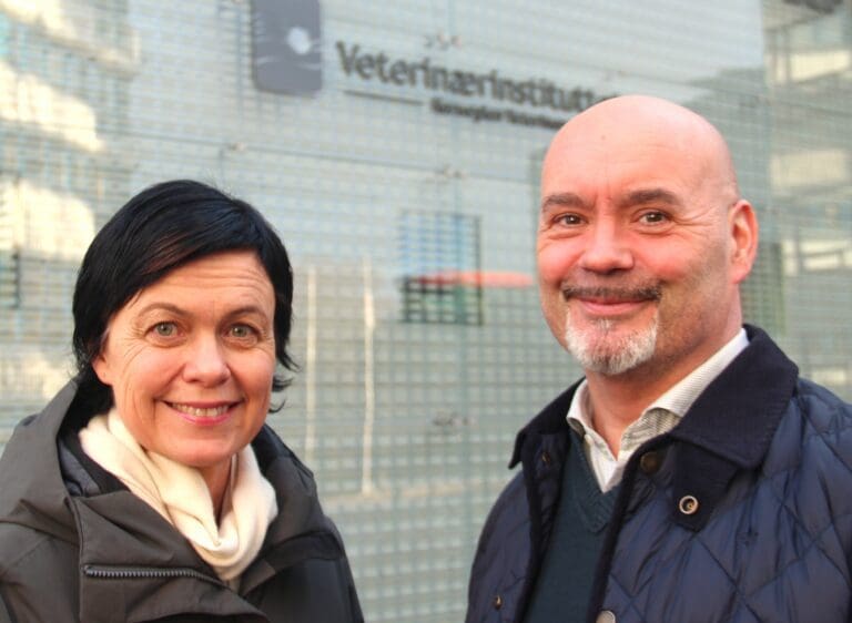 Han er ny seksjonsleder for fiskehelse på Veterinærinstituttet
