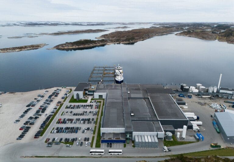 Markedet strammes til idet Kina er tilbake på kjøpersiden