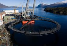 Hofseth om “Havliljen”: – Sier seg selv at det kan komme flere