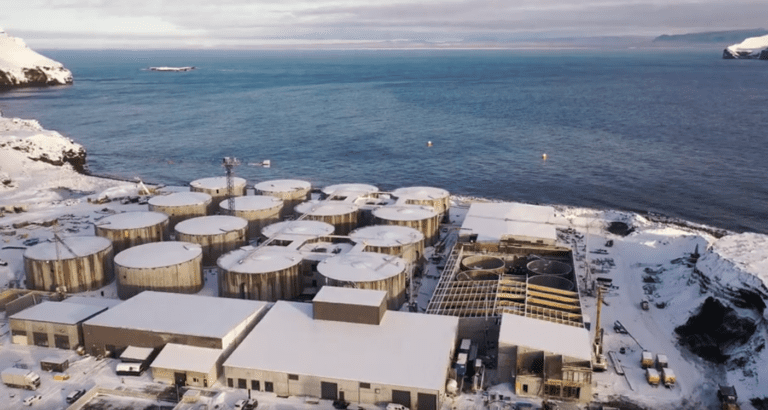 Milliardsatsing på land på Island: – Vi tror vannkvalitet er nøkkelen til suksess