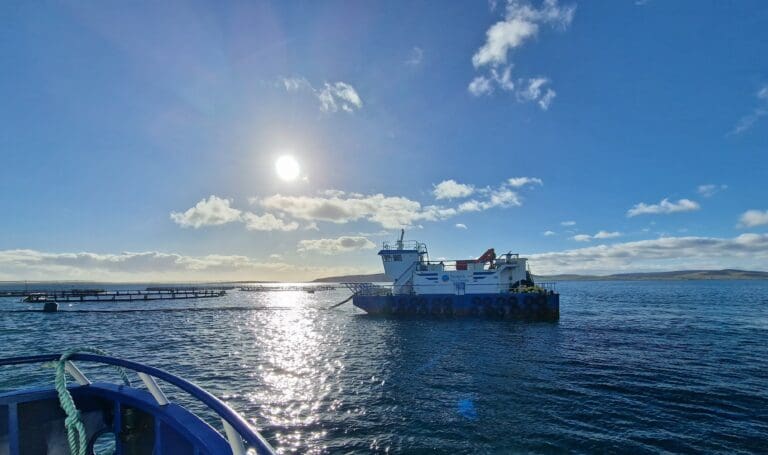 Tester autonom fôring: – Mer treffsikre strategier