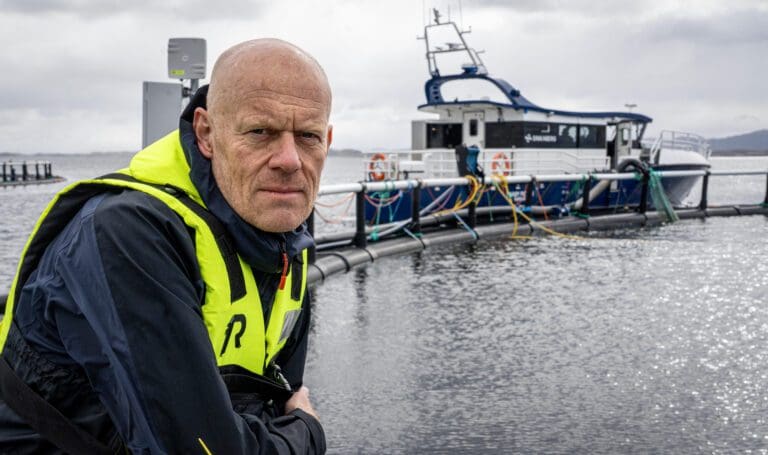 En næringsvennlig regjering?