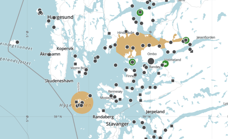 Mowi mistet over 40.000 laks ved Stavanger‑lokalitet