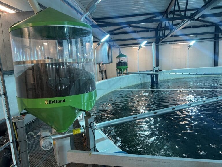 Helland Silosystem holder farten oppe: – Vi er fornøyde