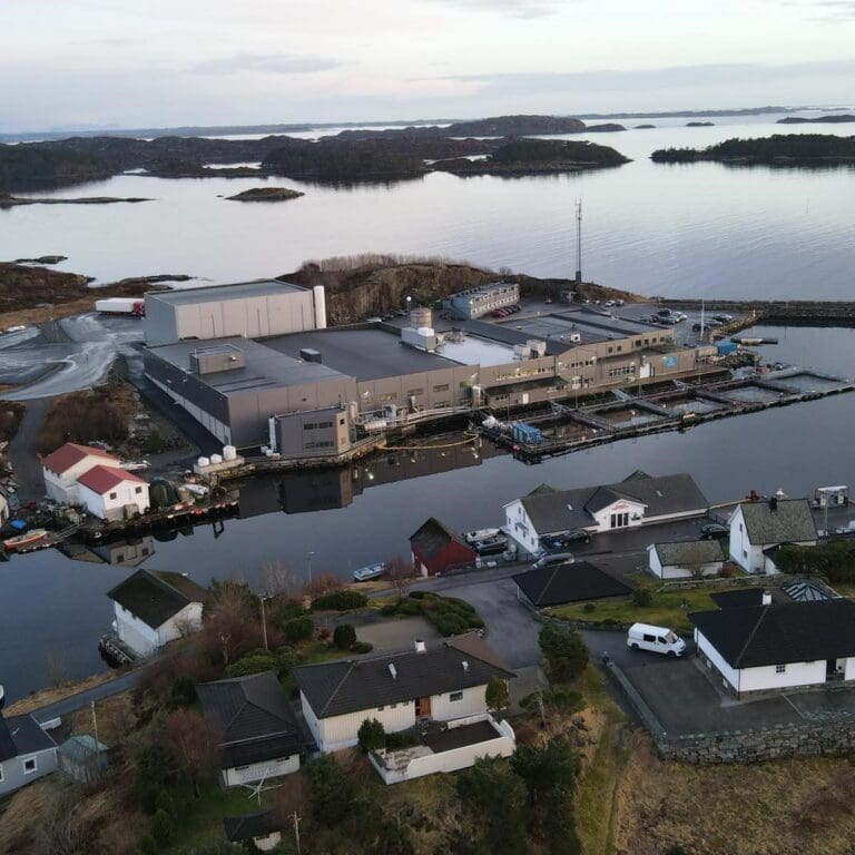 Biomassenedtrekk og inflaterte kostnader nær halverte Firda-resultatet