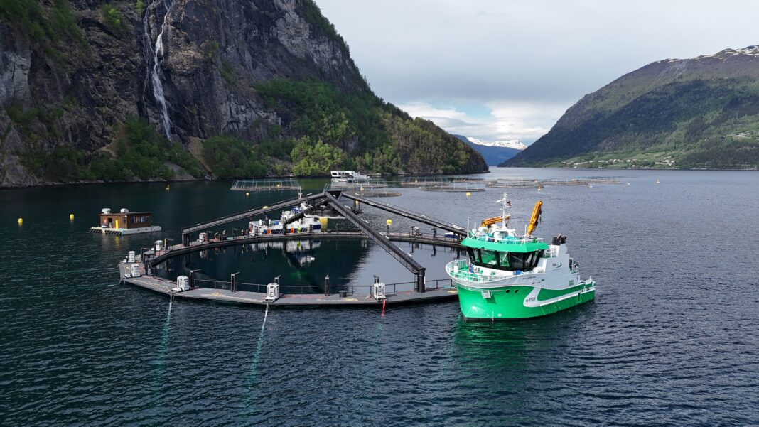 Multi Storfjord 1