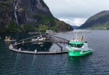 Hofseth og Trident inviterer til dobbel skipsdåp