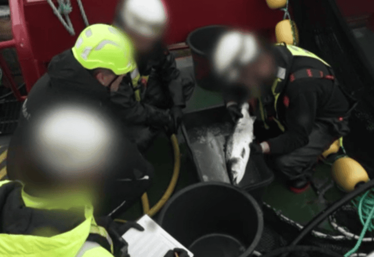 Slik gikk det da Mattilsynet var på oppdrettstokt med Kystvakten