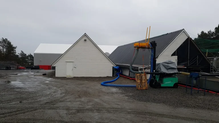 Røde tall for Vik Settefisk